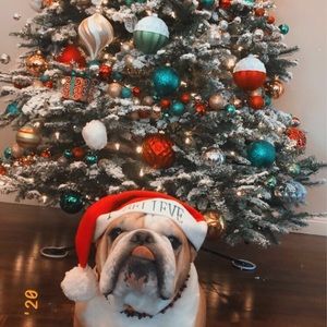 Meet your Posher, Soffee